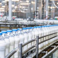 The Challenges of Lower Mainland Beverage Logistics